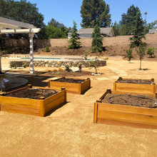 Raised Beds