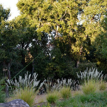 Los Altos Landscape Garden Design