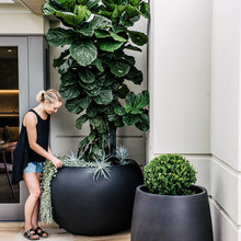 Plants