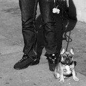 Vinnie Cenzo's photo