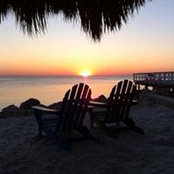 Sam Thomas's photo