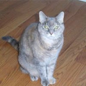 Raymond Baribeault Jr.'s photo