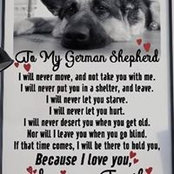 Alisha Taylor's photo