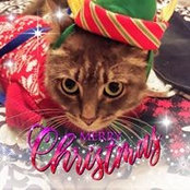Stephanie Doyle's photo