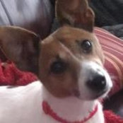 Anne Simpson's photo