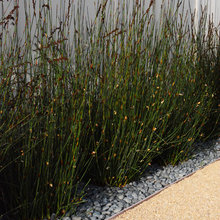 entry garden
