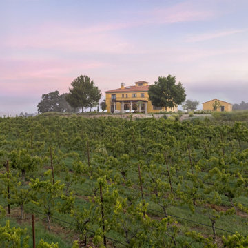 Drone, Aerial Estate & Vineyard Overview