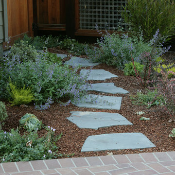 Willow Glen