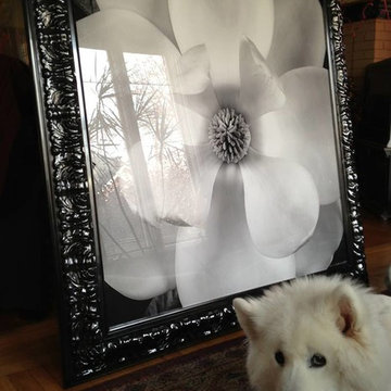 Frame for New Mood Design