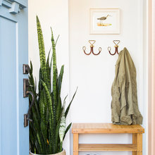 Frond Door Entrance