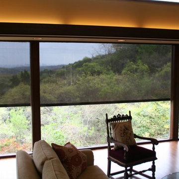 Roller Shades ( Manual & Motorized)