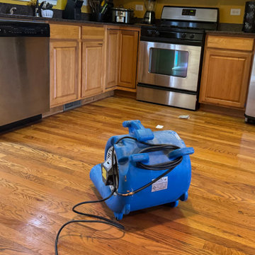 WATER DAMAGE RESTORATION