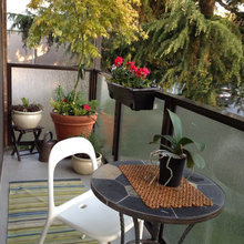 New apartment