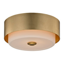 Ceiling Light