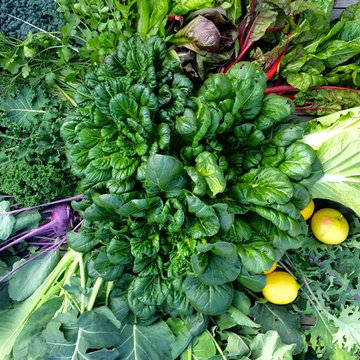 Residential Gardens & Orchards