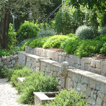 Landscape Ideas