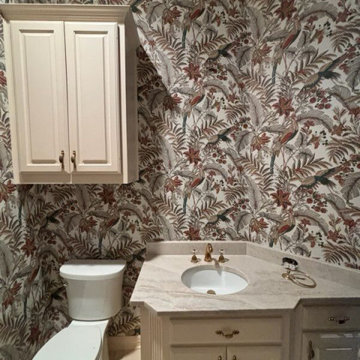 Reno Residential Wallpaper Installation