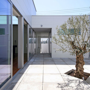 他の地域のモダンスタイルのおしゃれな中庭のテラス (コンクリート板舗装	、日よけなし) の写真