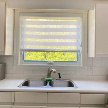 Toronto Zebra Blinds