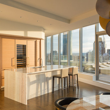 Vancouver Coal Harbour Penthouse