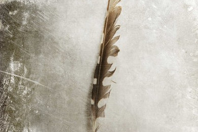 Fine Art Photography Series - "Feathers"