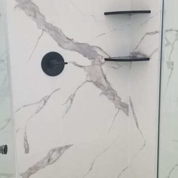 Master Bathroom Renovations