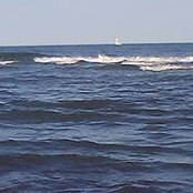 Dee Palmisano-Sloan's photo