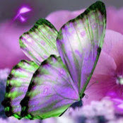 L Williams's photo