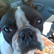 Dan McMullen's photo