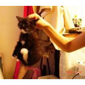Nadja Huang's photo