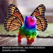 Tina Shows's photo