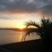 Pam Dawson's photo