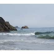 Nancy Ross's photo
