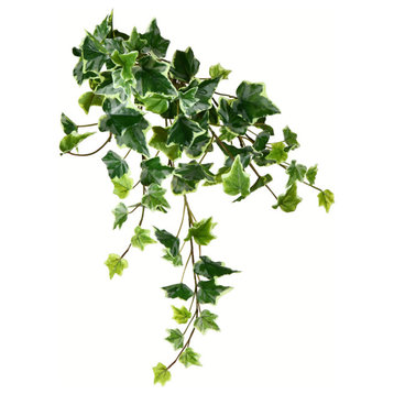 18" Varigated Green Ivy Hanging Bsh 3/Pk