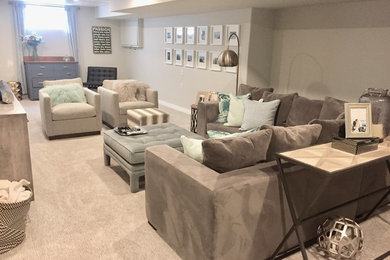 Transitional basement photo in Other