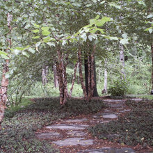 pathways