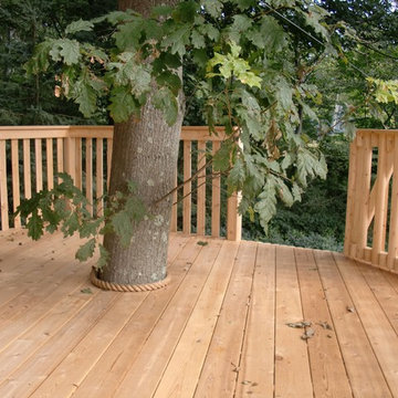Darien Treehouse