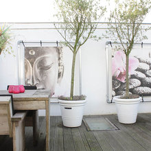 Patio Ideas