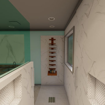 Handicap Bathroom Reno