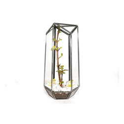 Geometric terrariums by Daring Flowers - Products
