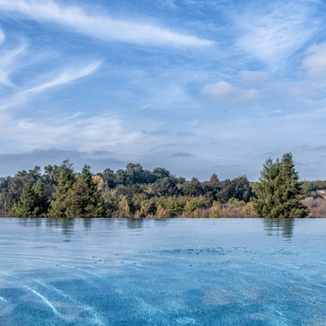 Contemporary Outdoor Entertaining / Pool House
