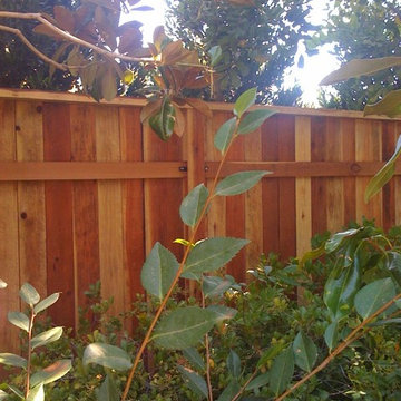 Wood fence
