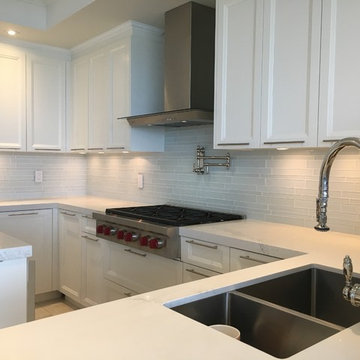 Toronto Contemporary Condo Remodel