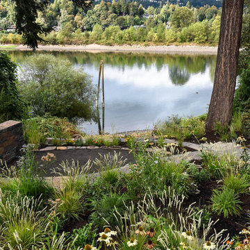 Willamette River View