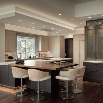 Castle Pines Remodel