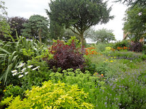 Grüner Daumen zu vermieten! So helfen Ihnen Garten-Experten