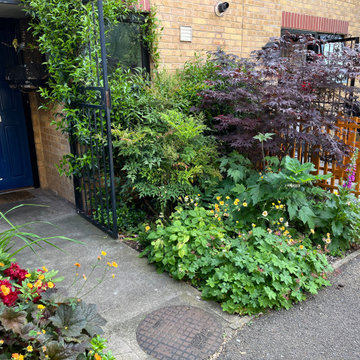 Tiny Front Garden Planting