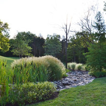 Dry creek