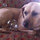 dawn_maxson