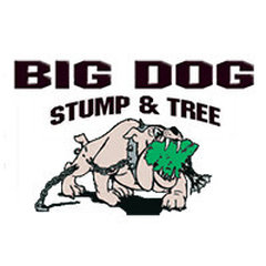Big Dog Stump and Tree
